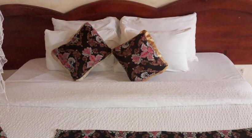 اتاق لوکس, Boulevard Excelsior Motel