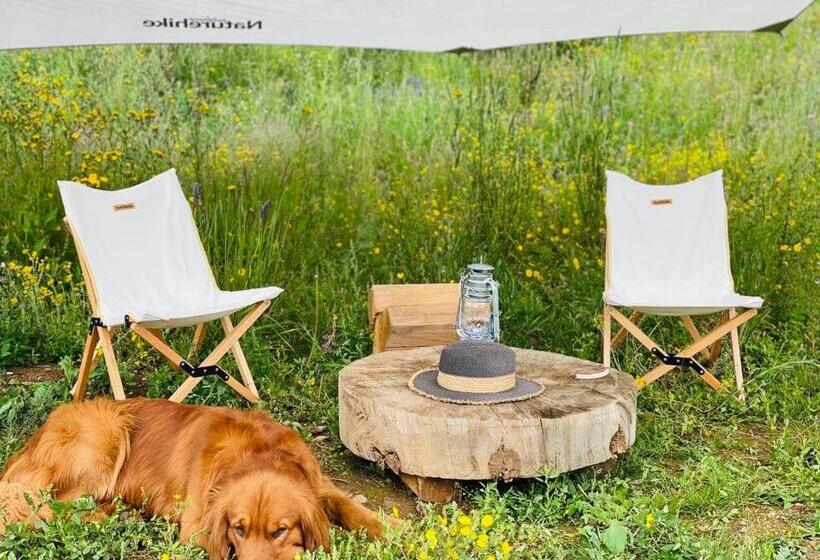 Трехместный Номер Deluxe, Shangri La Dala Pasture