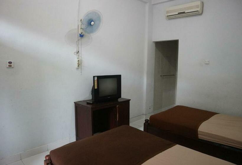 Номер Стандарт, Diana 1