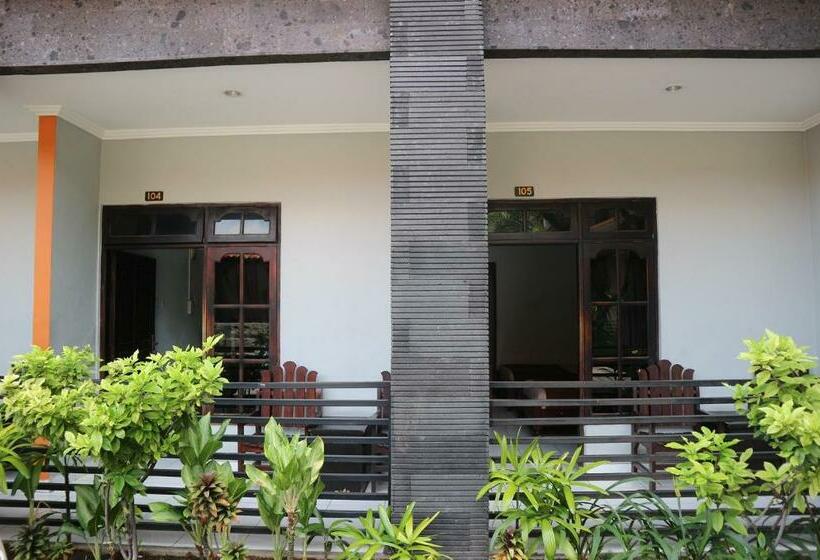 Номер Стандарт, Diana 1