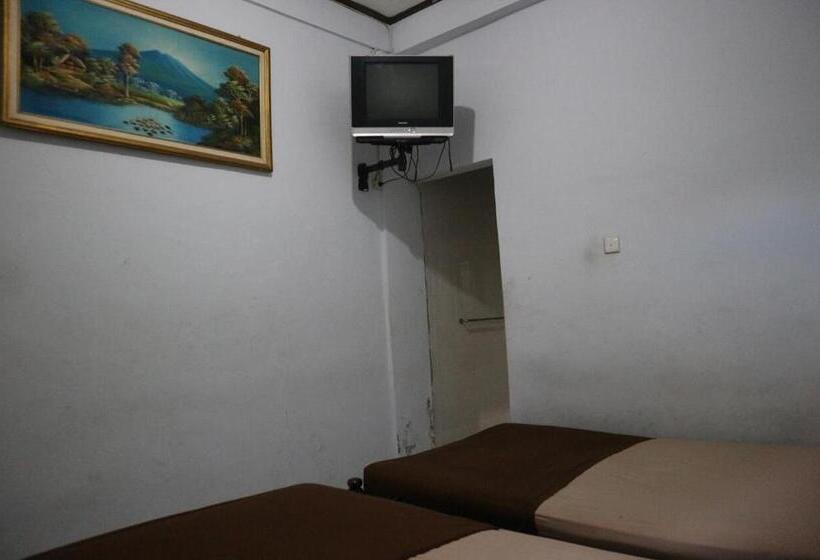 Номер Superior, Diana 1