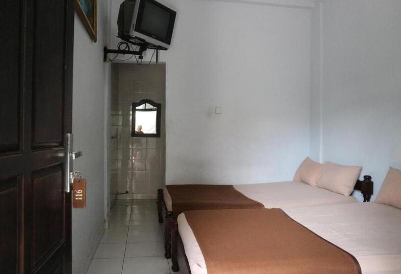 Номер Superior, Diana 1