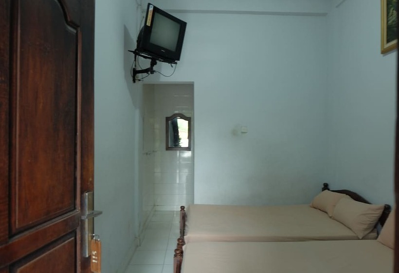 Номер Стандарт, Diana 1