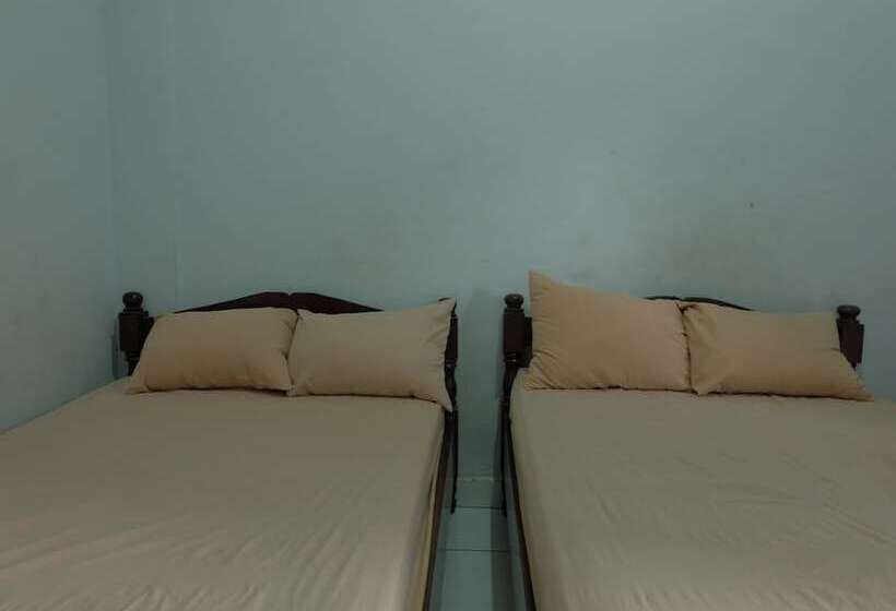 Номер Стандарт, Diana 1