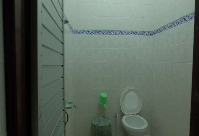 Номер Стандарт, Diana 1