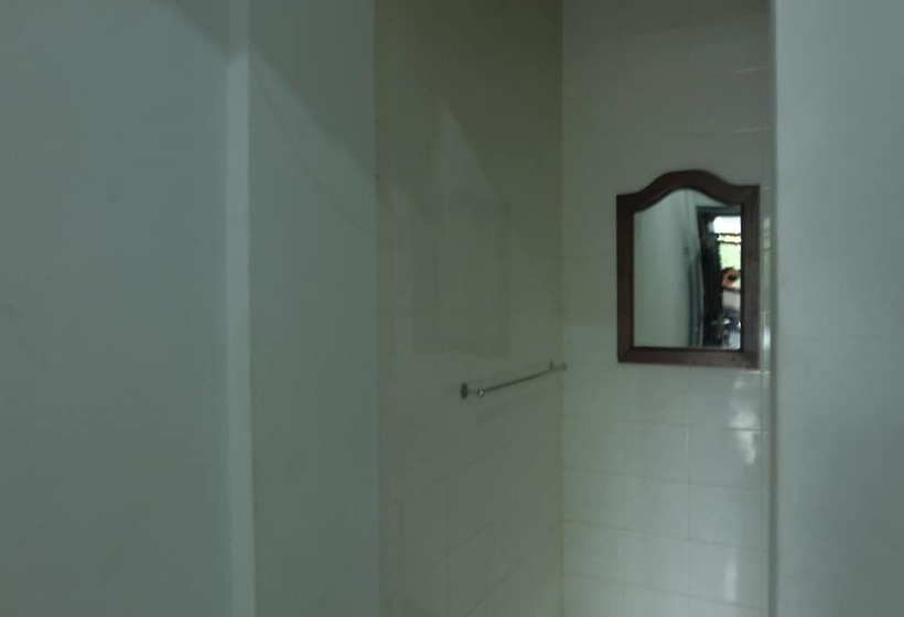 Номер Стандарт, Diana 1