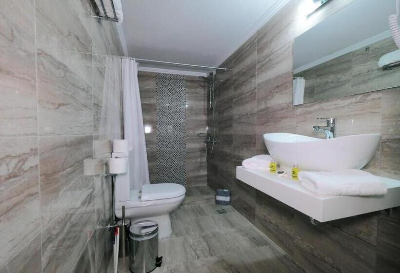 غرفة قياسية مطلة على المدينة, Limnia Gi