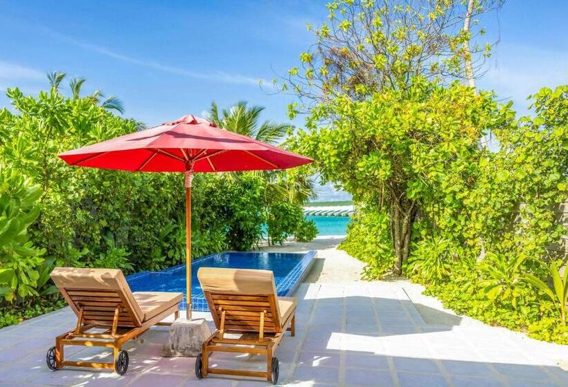 Villa 1 Slaapkamer met zwembad, Siyam World Maldives   24 Hour Premium All Inclusive With Free Transfer