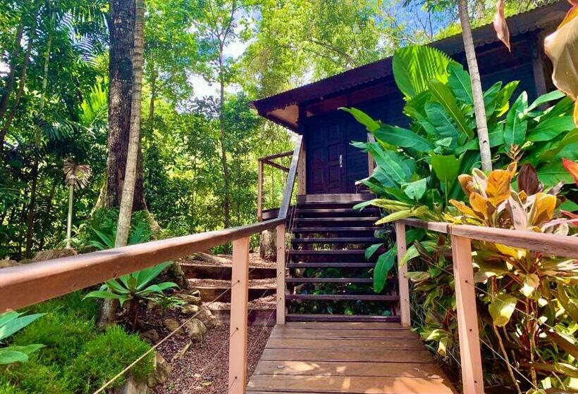 غرفة سوبيريور, Cairns Rainforest Retreat