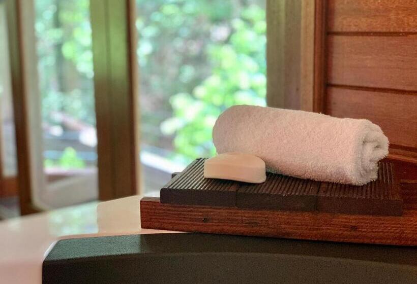 수피리어 룸, Cairns Rainforest Retreat