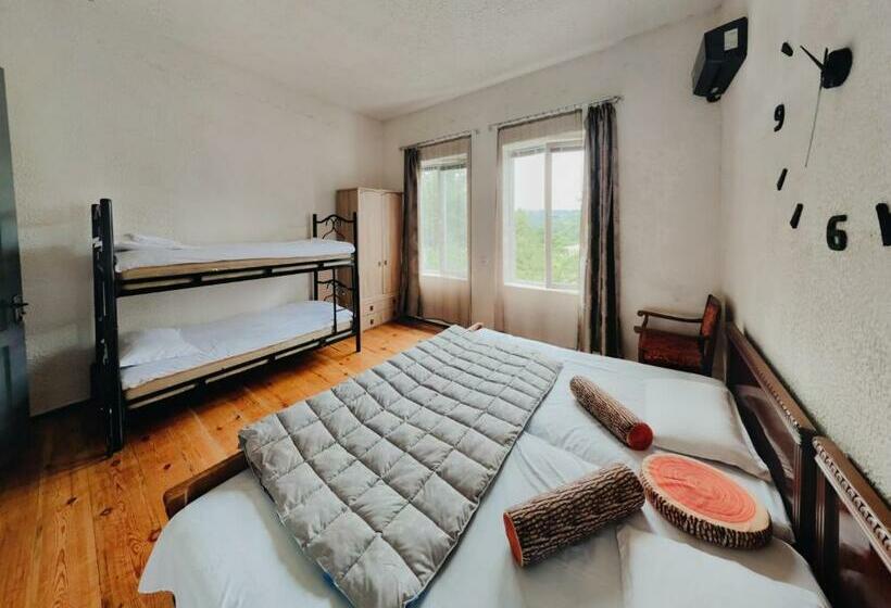 اتاق خانوادگی, Iveri House