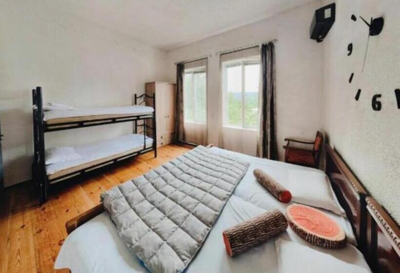 Habitación Familiar, Iveri House