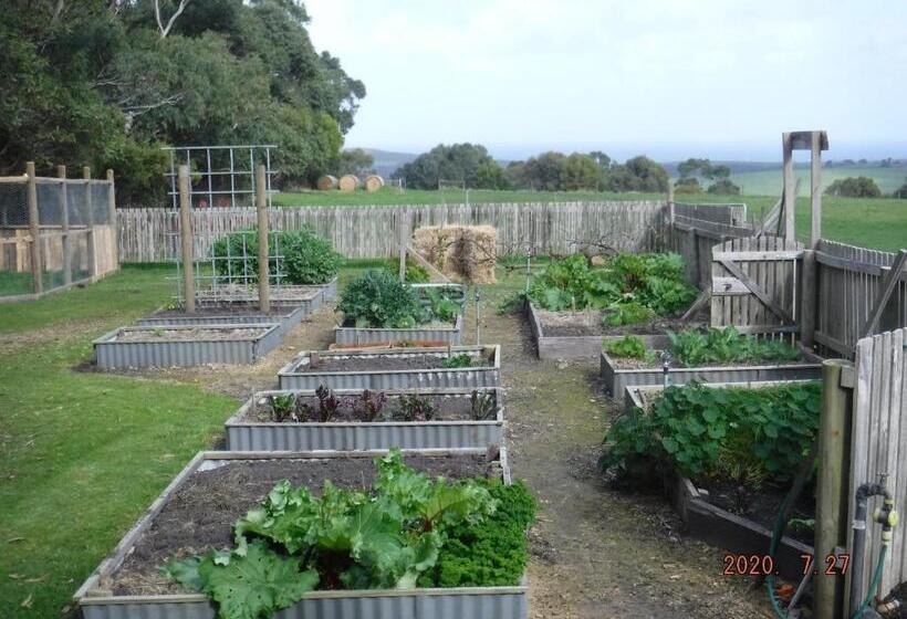 חדר סטנדרט, Arabella Country House