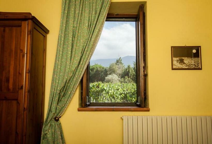 수피리어 룸, L'antica Vigna