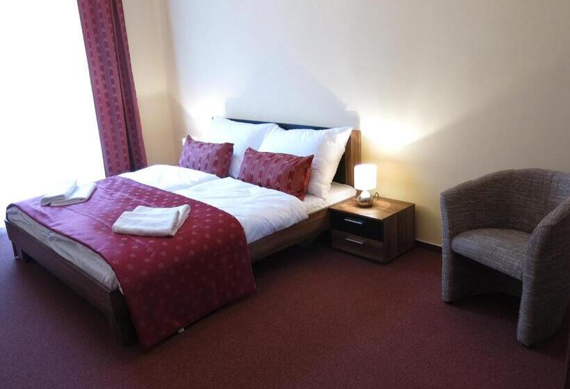 带大床的标准间, Penzion Elzet