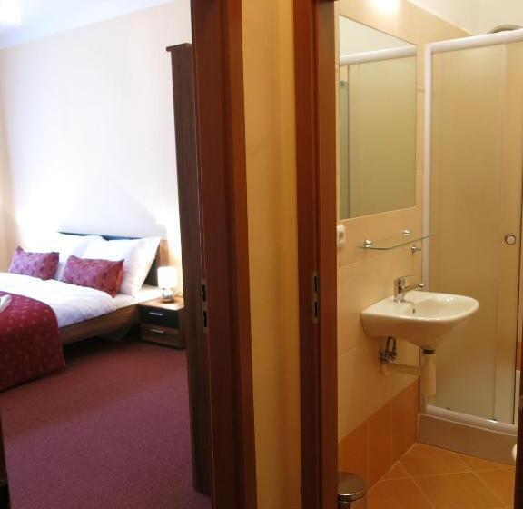 带大床的标准间, Penzion Elzet