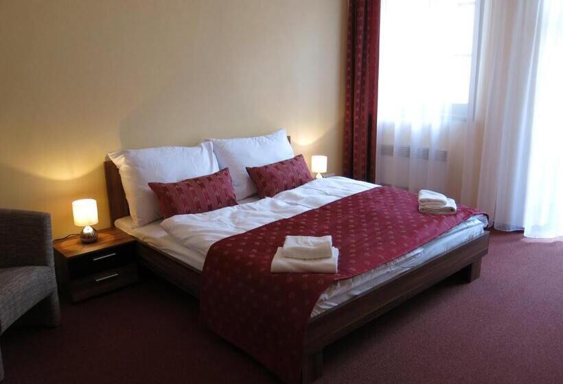 带大床的标准间, Penzion Elzet