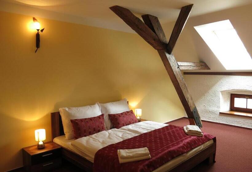 带大床的标准间, Penzion Elzet