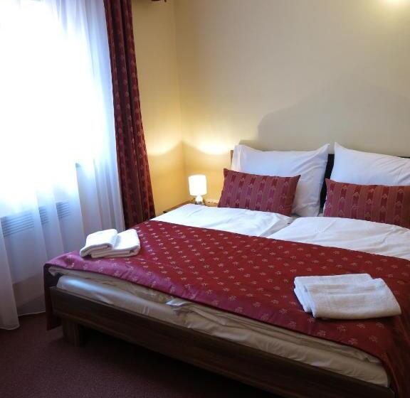 带大床的标准间, Penzion Elzet