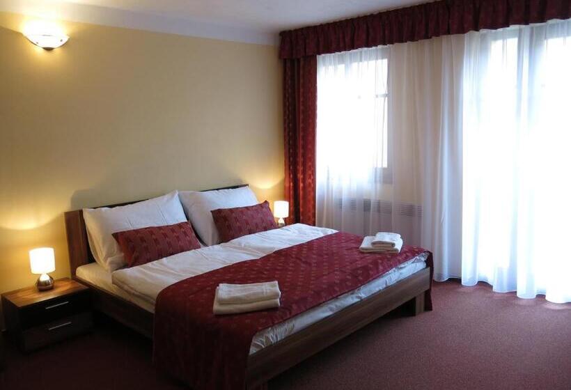 带大床的标准间, Penzion Elzet