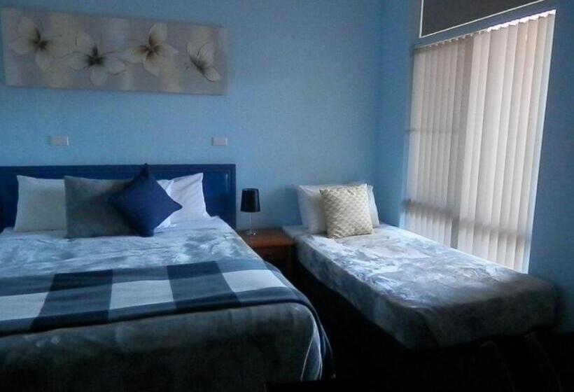 חדר סטנדרט יחיד, Tall Timbers Motel