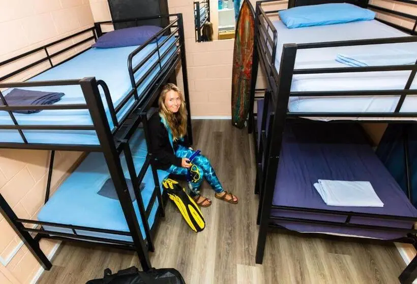 ルームシェアのワンベッド, Manta Lodge Yha & Scuba Centre