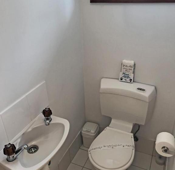 キングサイドベッドのスタンダードワンルーム, Lake Albert Motel