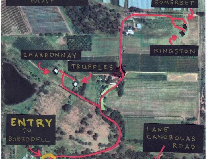 کابین, Borrodell Vineyard