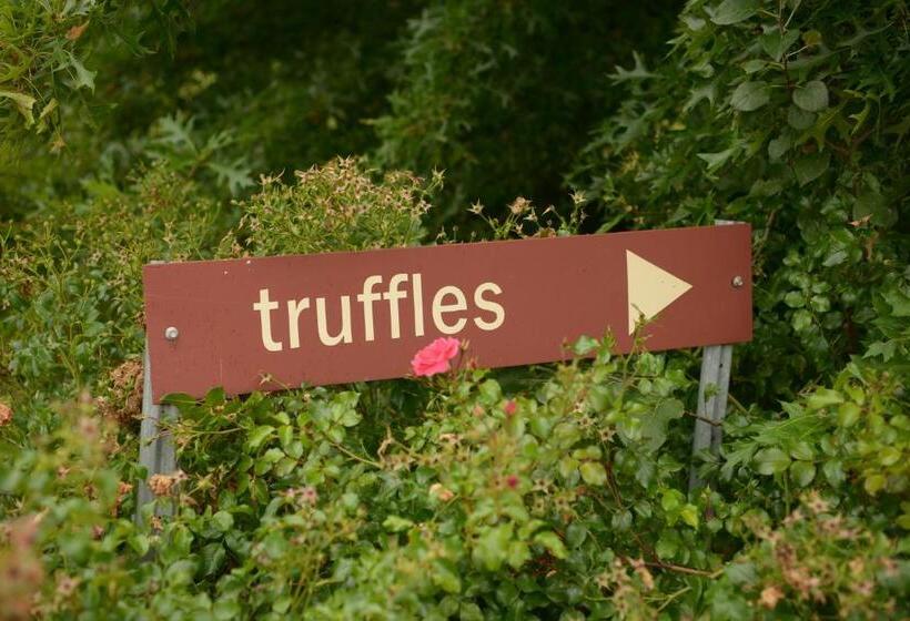 کابین, Borrodell Vineyard