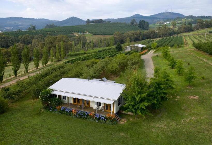 کابین, Borrodell Vineyard