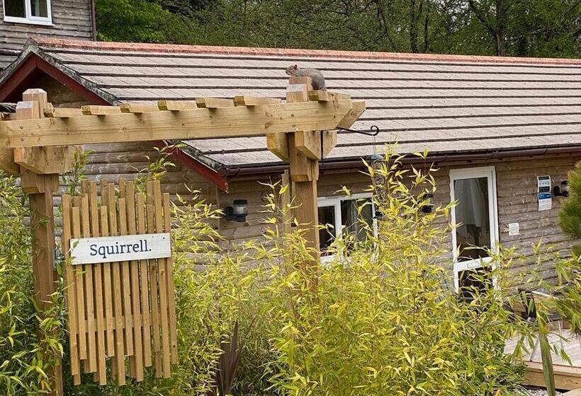 침실 2개 주택, Ivyleaf Combe Lodges