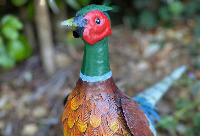 침실 2개 주택, Ivyleaf Combe Lodges