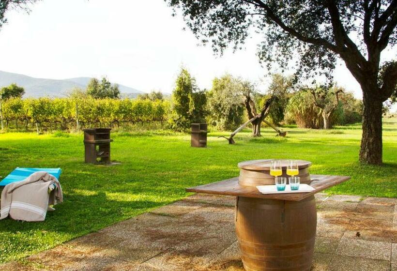 חדר סטנדרט, Fattoria Il Duchesco