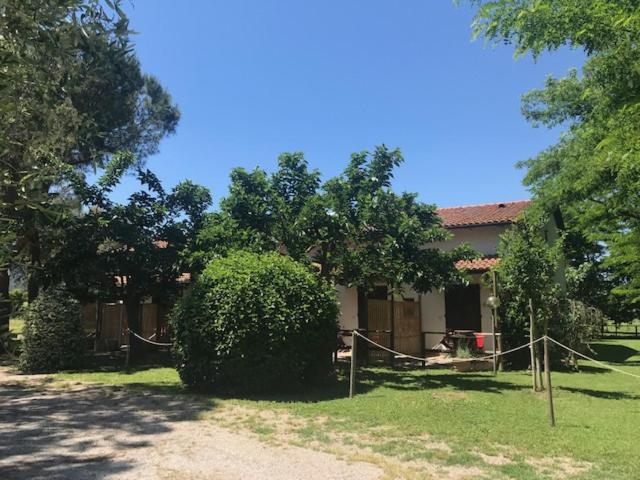 חדר סופריור, Fattoria Il Duchesco