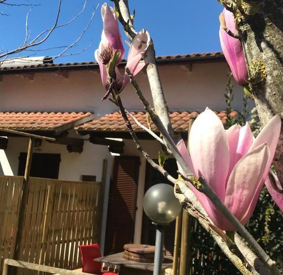 חדר סופריור, Fattoria Il Duchesco