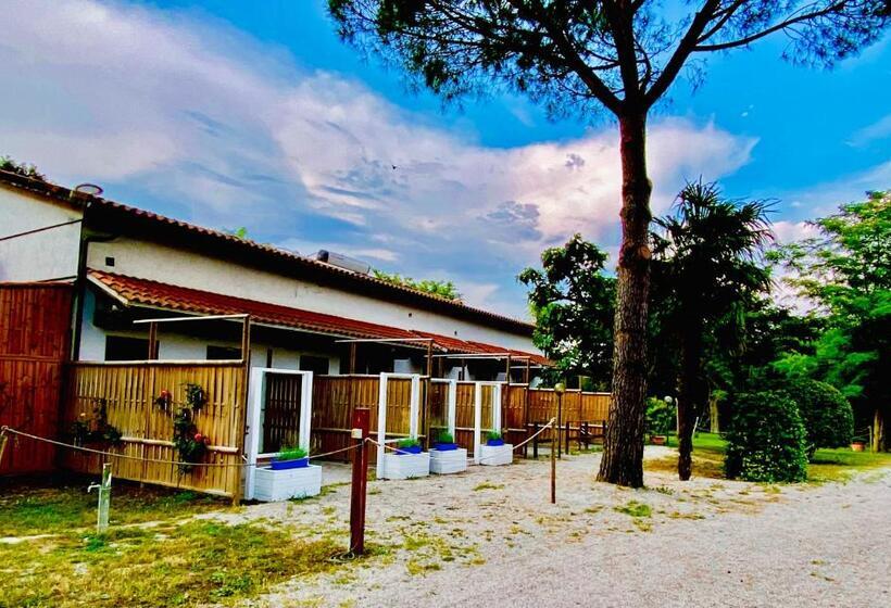 חדר סופריור, Fattoria Il Duchesco