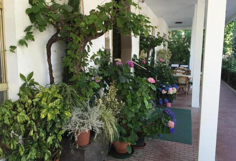 Номер Стандарт, Villa Verde