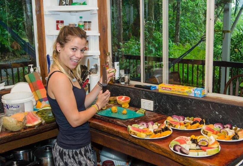 Номер Стандарт с Балконом, Epiphyte B & B