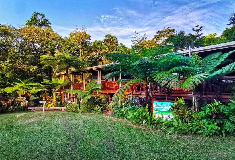 Номер Стандарт с Балконом, Epiphyte B & B