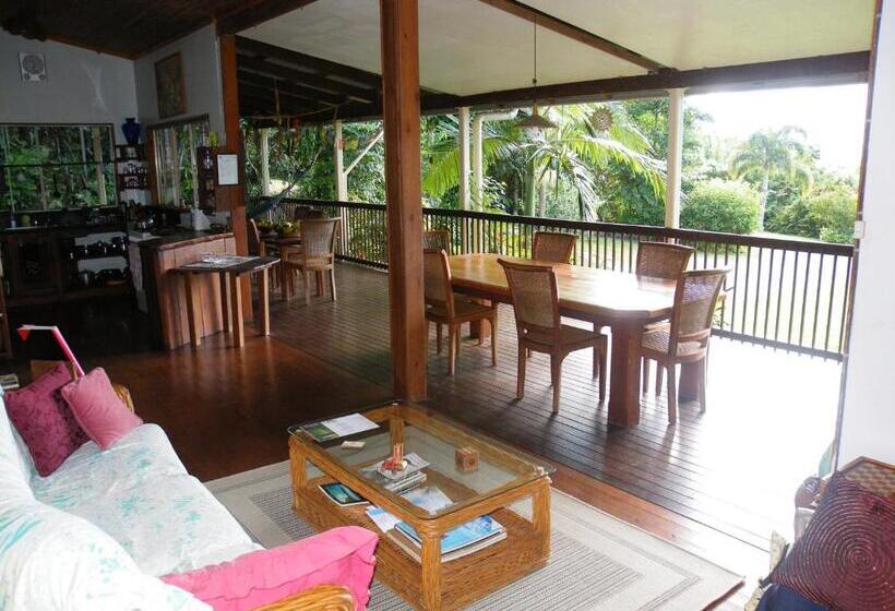 Номер Стандарт с Балконом, Epiphyte B & B