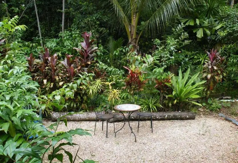 Standard Yhden Hengen Huone Parveke, Epiphyte B & B