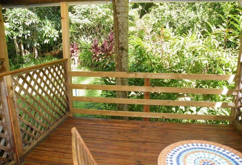 Номер Стандарт Индивидуальный с Балконом, Epiphyte B & B