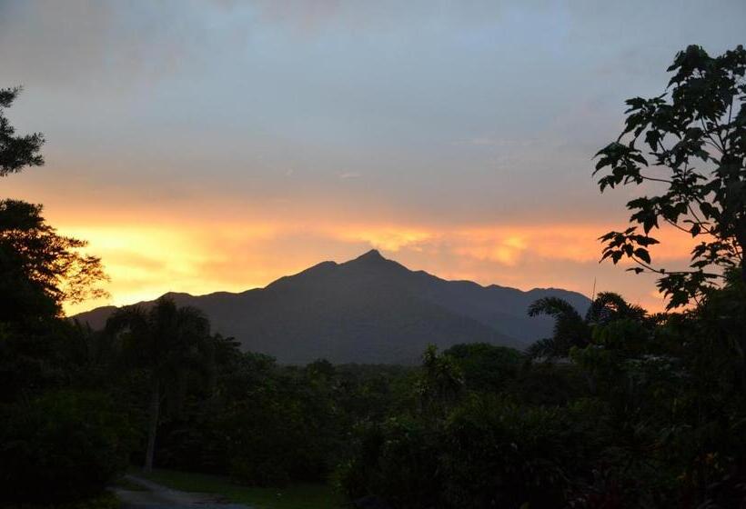 Хижина, Epiphyte B & B