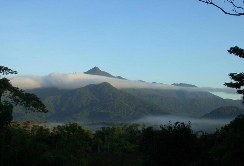 Хижина, Epiphyte B & B