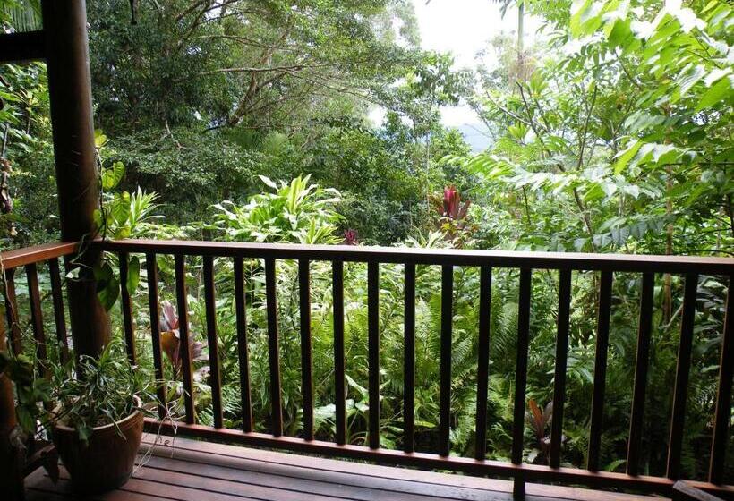 Хижина, Epiphyte B & B