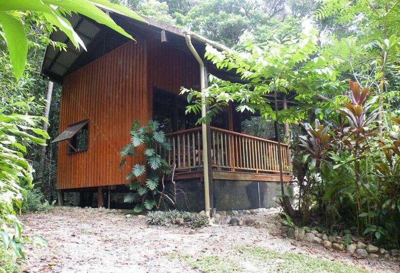 오두막, Epiphyte B & B
