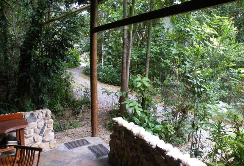 Хижина, Epiphyte B & B