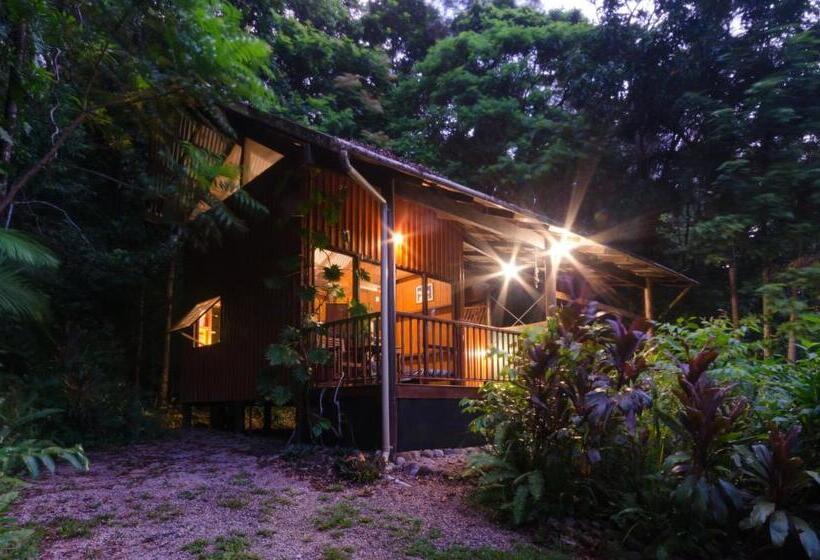 오두막, Epiphyte B & B