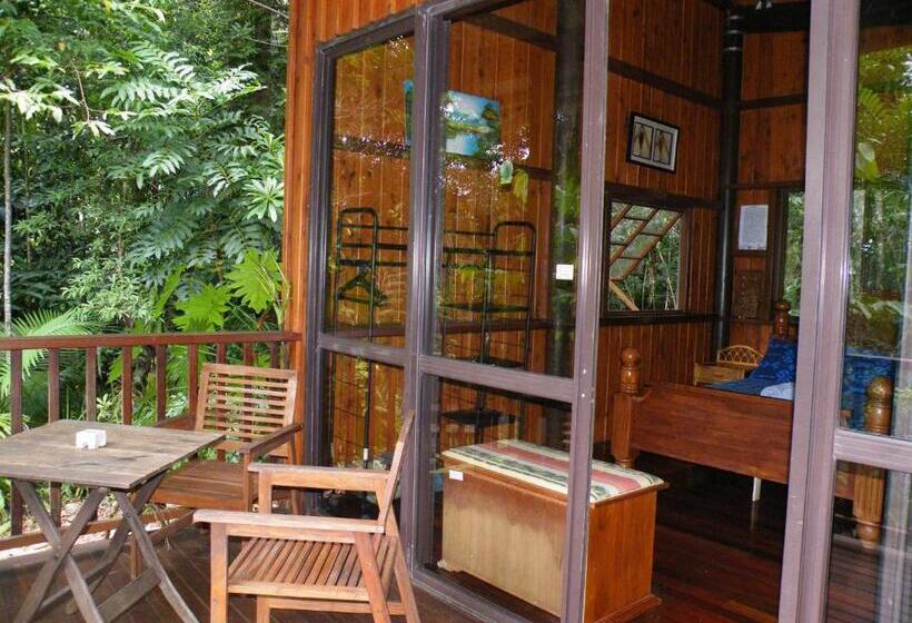 Хижина, Epiphyte B & B