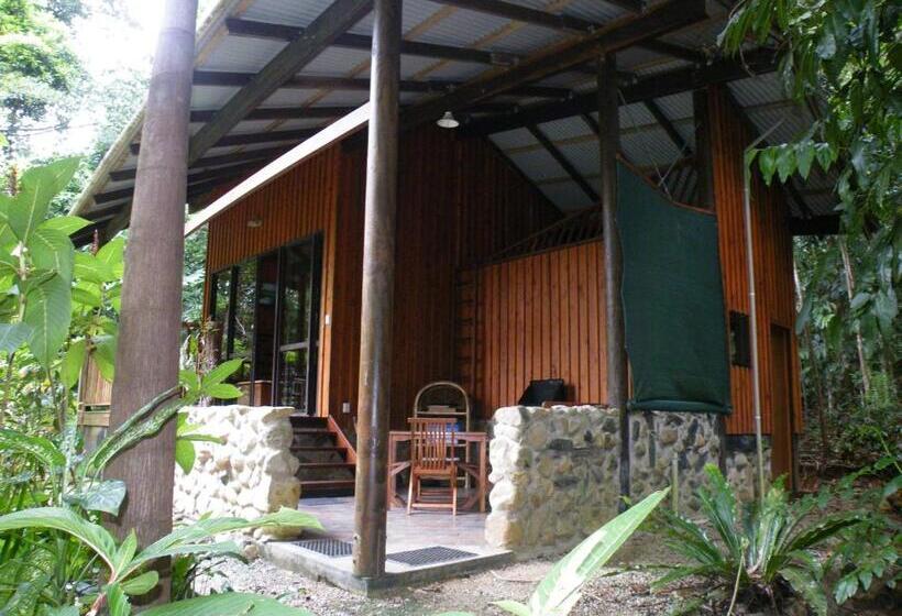 Хижина, Epiphyte B & B